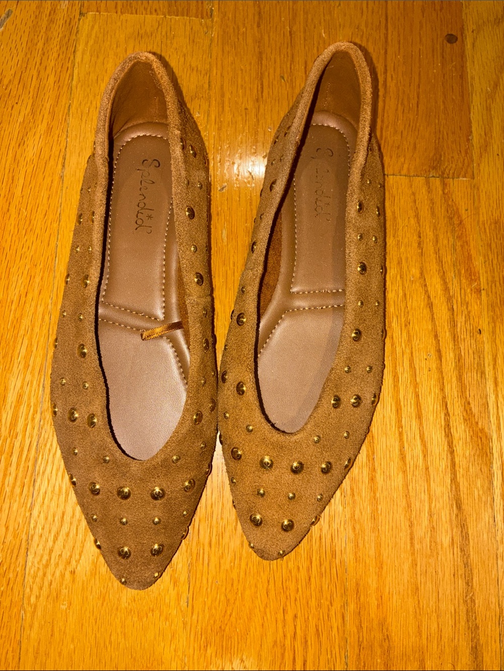 Splendid Studded Pointed-Toe Flats in Brown Suede